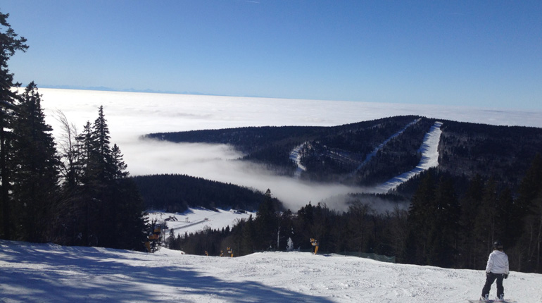 LINZA! | stadtmagazin I cityguide