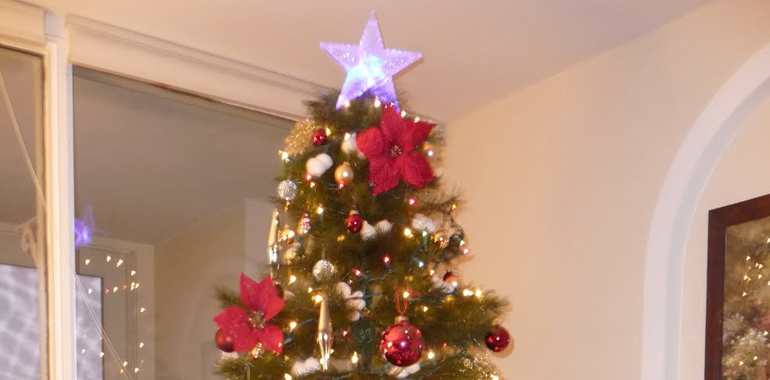 Geht gar nicht: Weihnachten, ohne ein Christbaum-Foto zu posten