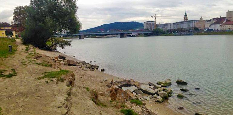 So sieht der Donaustrand beim Steinmetzplatzl derzeit noch aus: Der ehemalige Schotterstrand wurde 2013 fast zur Gänze weggespült.
