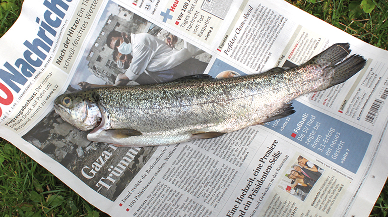 1A Fischgarage: die großformartigen OÖ Nachrichten