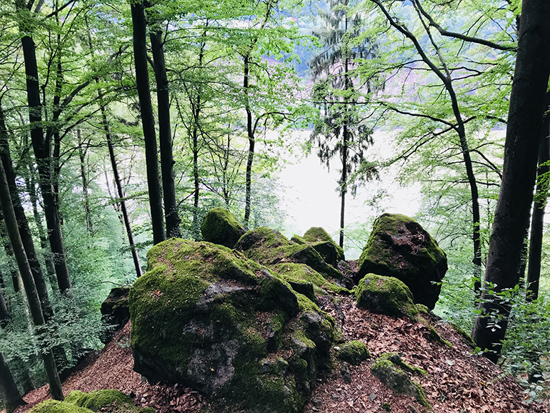 Prinzensteig_770-3031