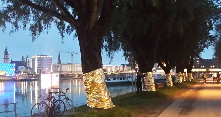 Die geretteten Bäume an der Heinrich-Gleißner-Promenade – von der Baumrettungsinitiative mit Rettungsdecken geschützt