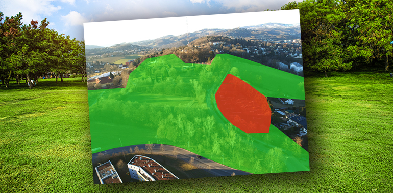 Green grass on a golf field