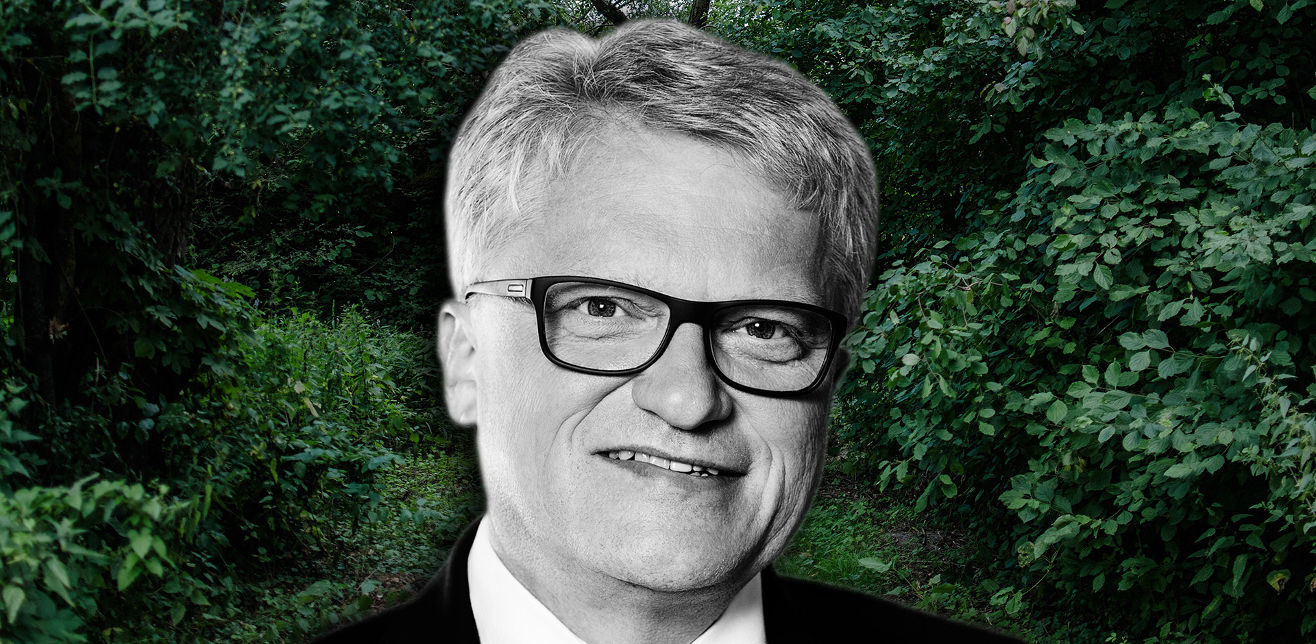 A beautiful view of a grassy pathway surrounded by plants and trees